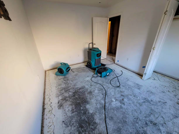 Water damage restoration mold remediation in Key Vista, FL