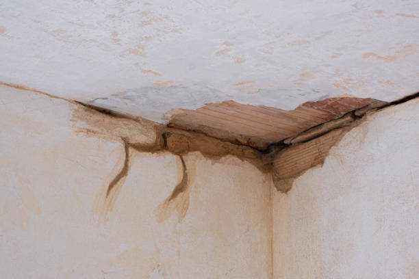 Best 24/7 water damage repair  in Key Vista, FL