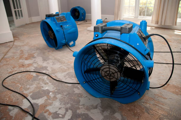 Best Water damage restoration process  in Key Vista, FL