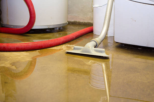 24/7 water damage repair in Key Vista, FL