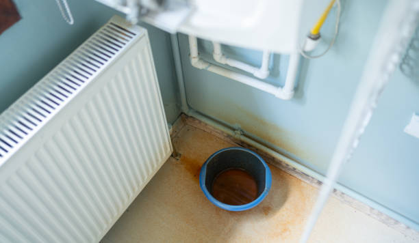 Best Flooded house restoration  in Key Vista, FL